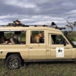 Luxury Safari Tours