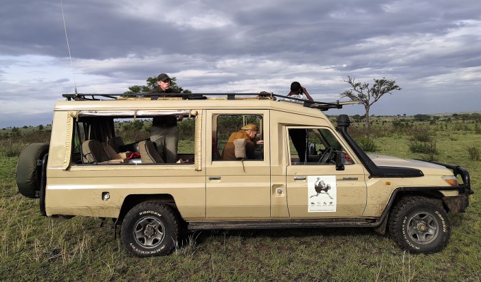 Luxury Safari Tours